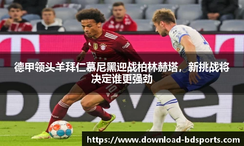 半岛体育官网