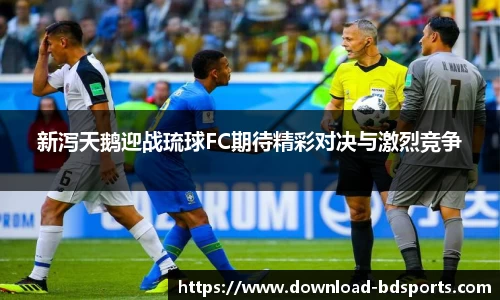 半岛体育官方网站
